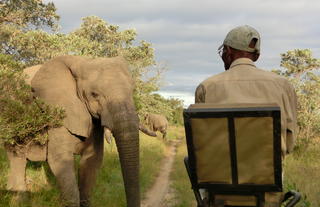 KwaMbili Game Drive with tracker